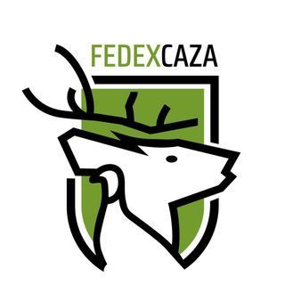 391598934_707713621388196_6003151688013404054_n